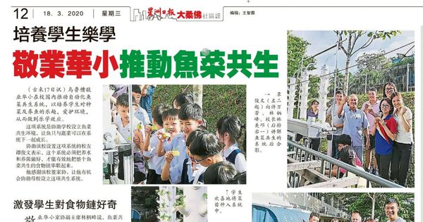 培养学生乐学 敬业华小推动鱼菜共生