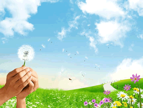 谢谢您，老师！