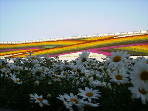 tw-005.jpg