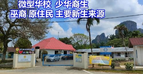 微型华校 少华裔生 巫裔 原住民 主要新生来源