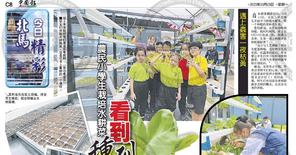 农民华小学生栽培水耕菜 看到 种到 感觉到