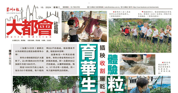 插秧 收割 晒干 磨成米 育华生 体验粒粒皆辛苦